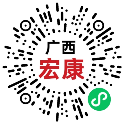 广西宏康医药